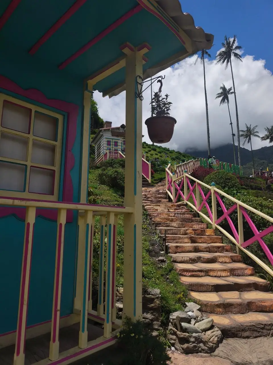 Palmas de cera del Valle de Cocora entre montañas verdes