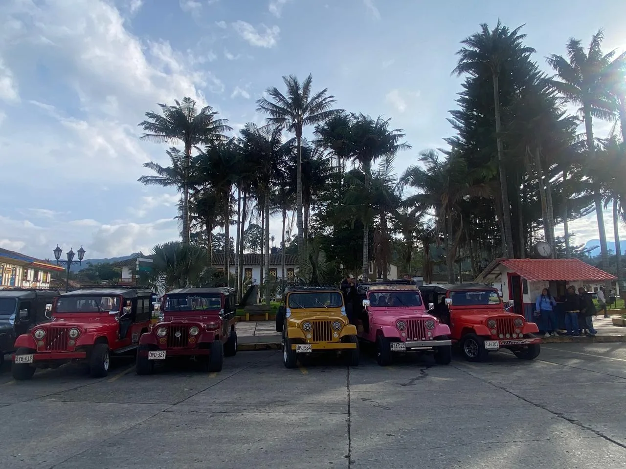 Jeeps Willys de colores parqueados bajo las palmas en la plaza de Salento